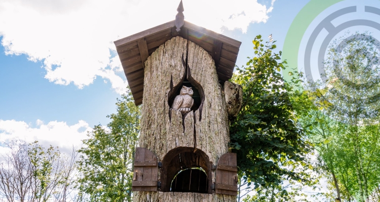 Owl’s house